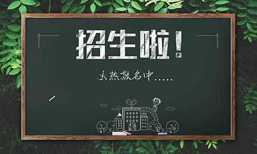 IT招生