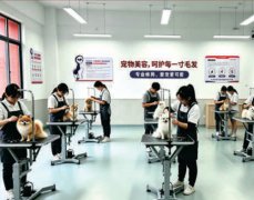 ���������뾭Ӫ